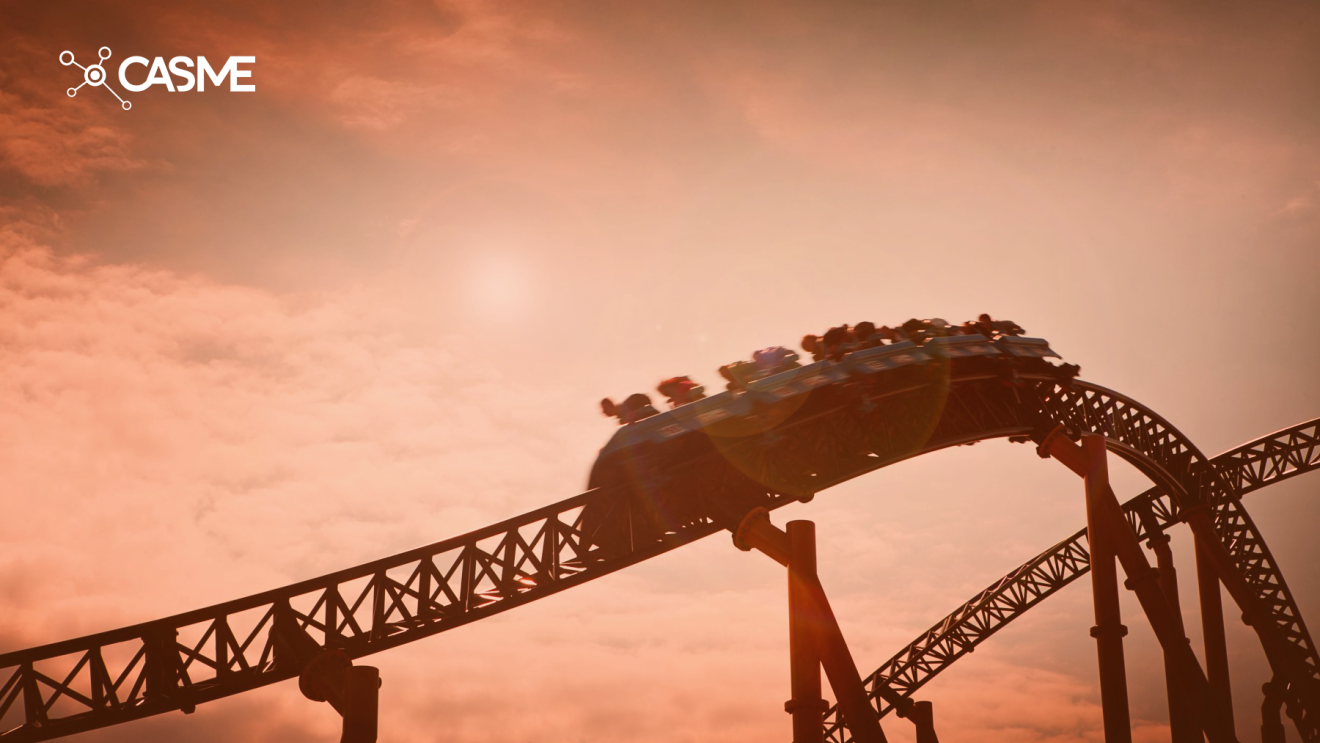 Seeking thrills and staying safe on roller coasters