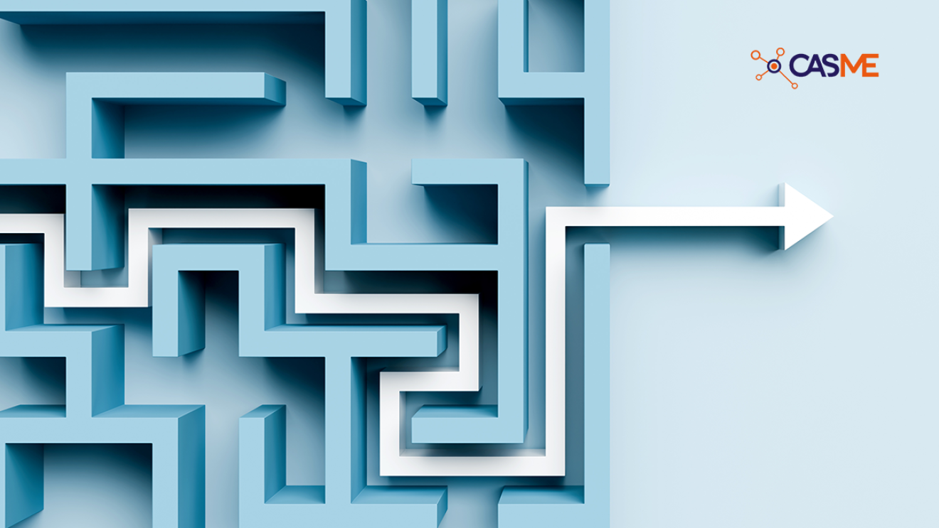 Maze Showing Procurement Stakeholder Management: Challenges, Strategies and Solutions
